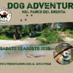 Pop Up Uscita Brenta