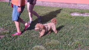 Rey in educazione