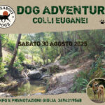 30 Agosto Dog Adventure