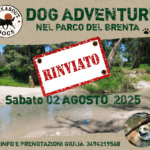 Grafica Flyer pop up