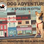 DOG ADVENTURE A SPASSO AD ABANO