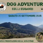 EVENTO COLLI EUGANEI 20 SET 25